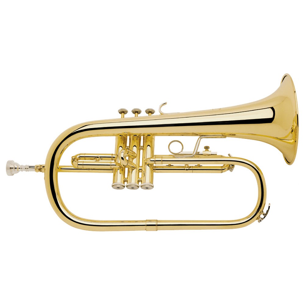 Bach FH200 Flugel Horn