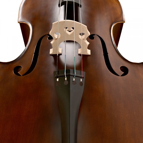 Carlovy DB-6 Kontrbas 3/4 küçük görsel 10