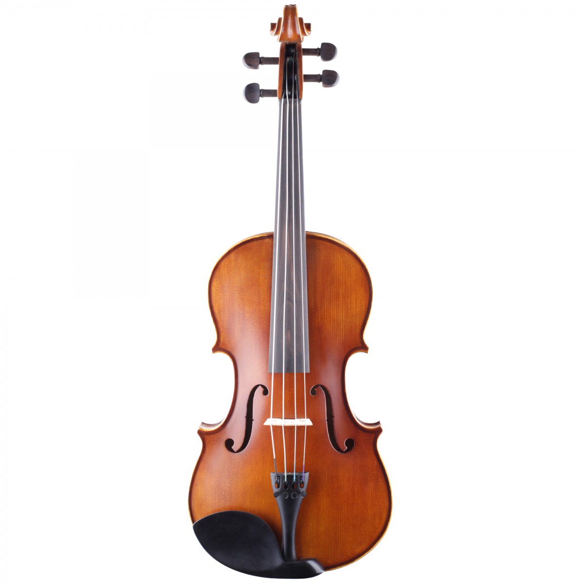 Carlovy VAA3-15 Viyola 15"