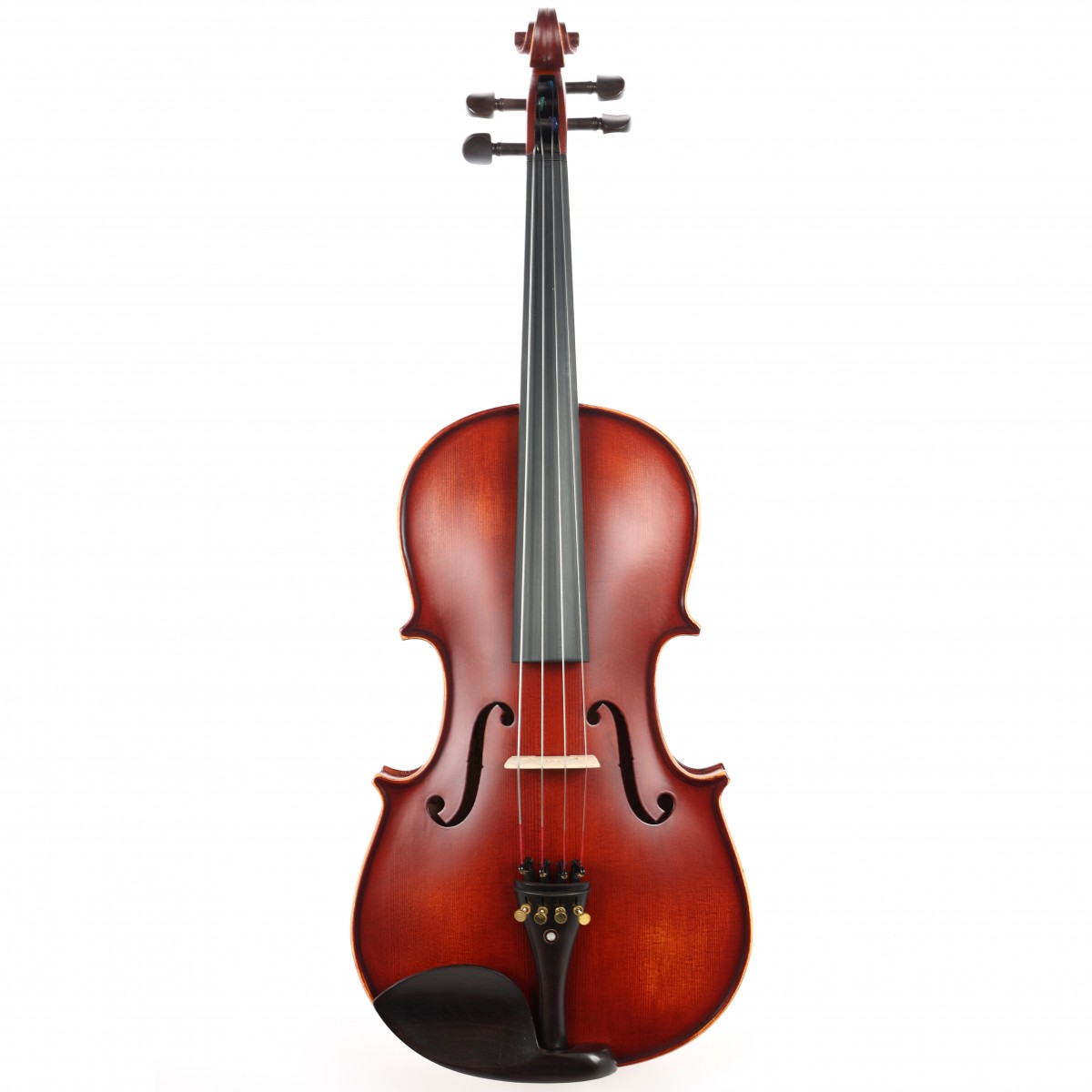 Carlovy VAA8 Viyola 15" küçük görsel 3