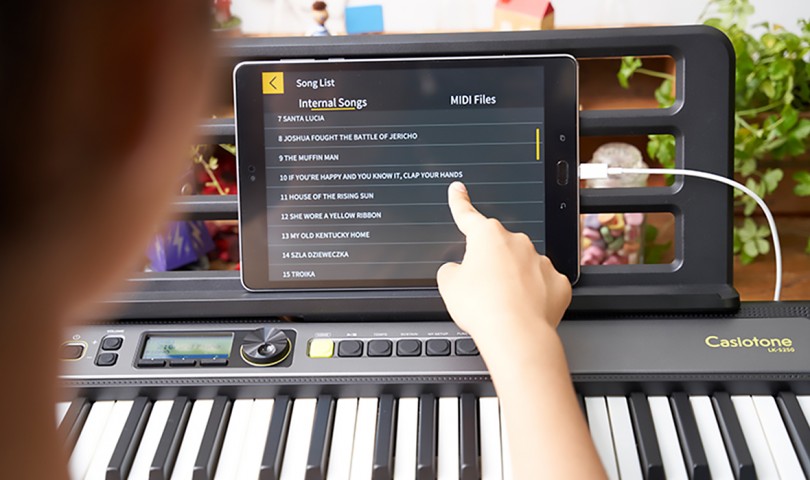 Casio LK-S250C2 Işıklı Tuş Hassasiyetli Org küçük görsel 6