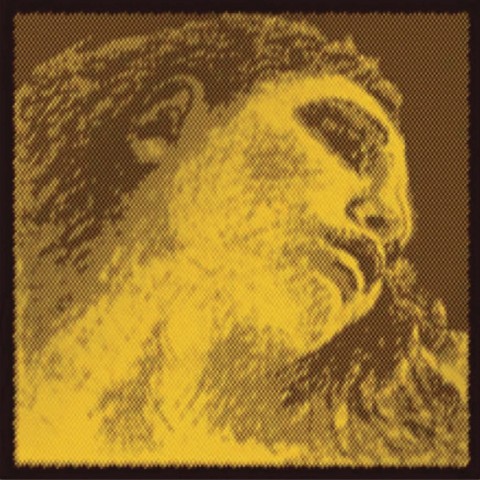 Evah Pirazzi Gold Viyola Takım Tel küçük görsel 2