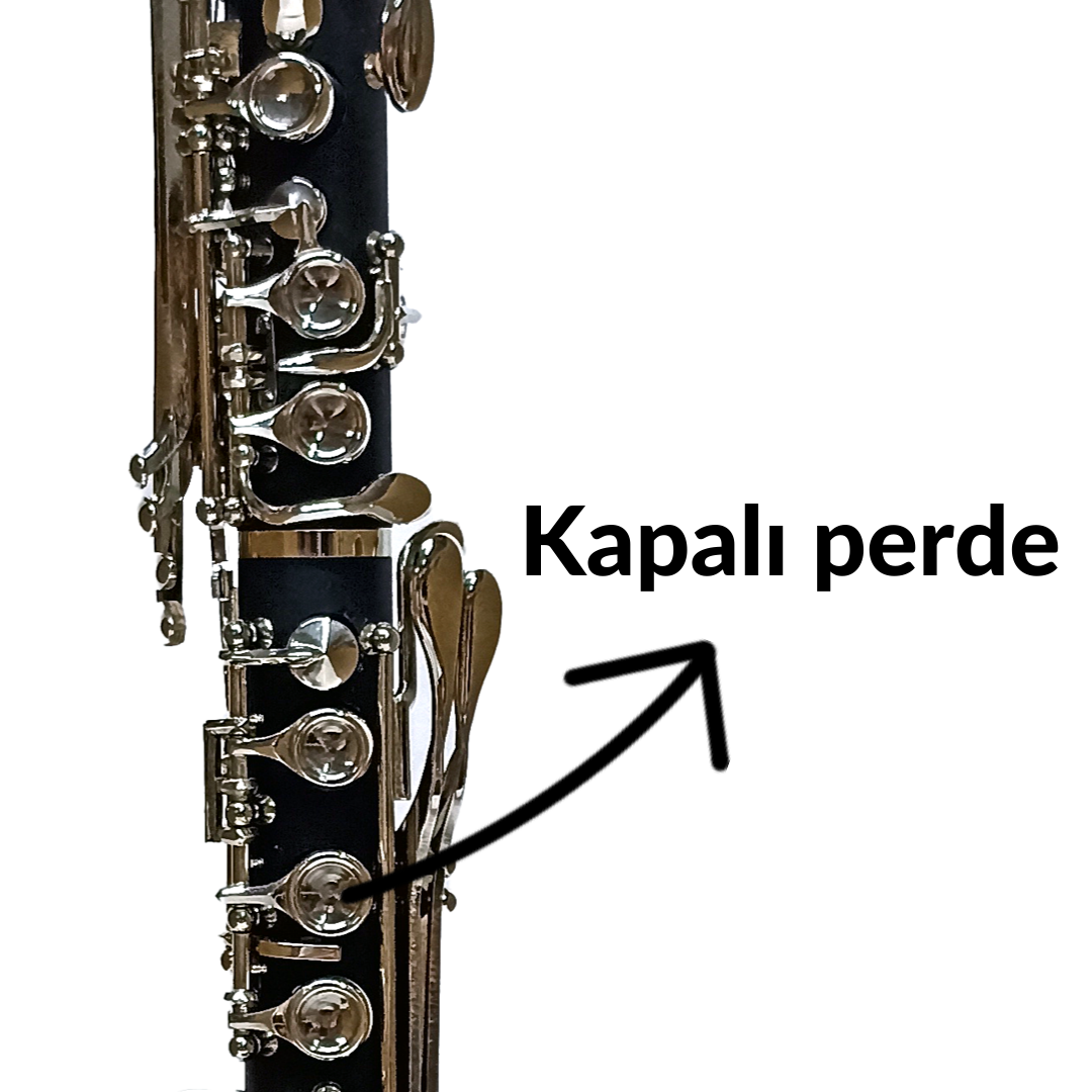 Fox CL2000-BCH Kapalı Perdeli Bb Klarnet küçük görsel 3