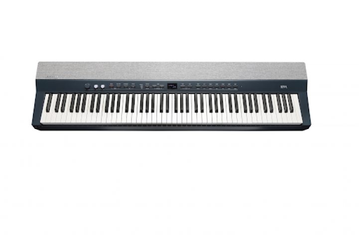 Kurzweil KA P1 KB Taşınabilir Dijital Piyano küçük görsel 10