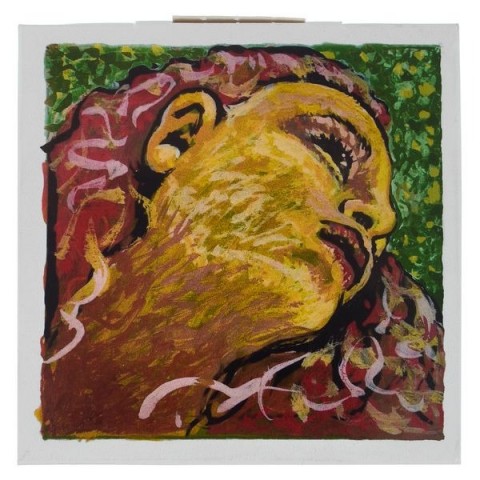 Pirastro Evah Pirazzi Neo Keman Tel Seti küçük görsel 3