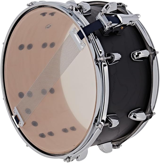 Premier Artist 13 x 7 Birch Siyah Trampet küçük görsel 7