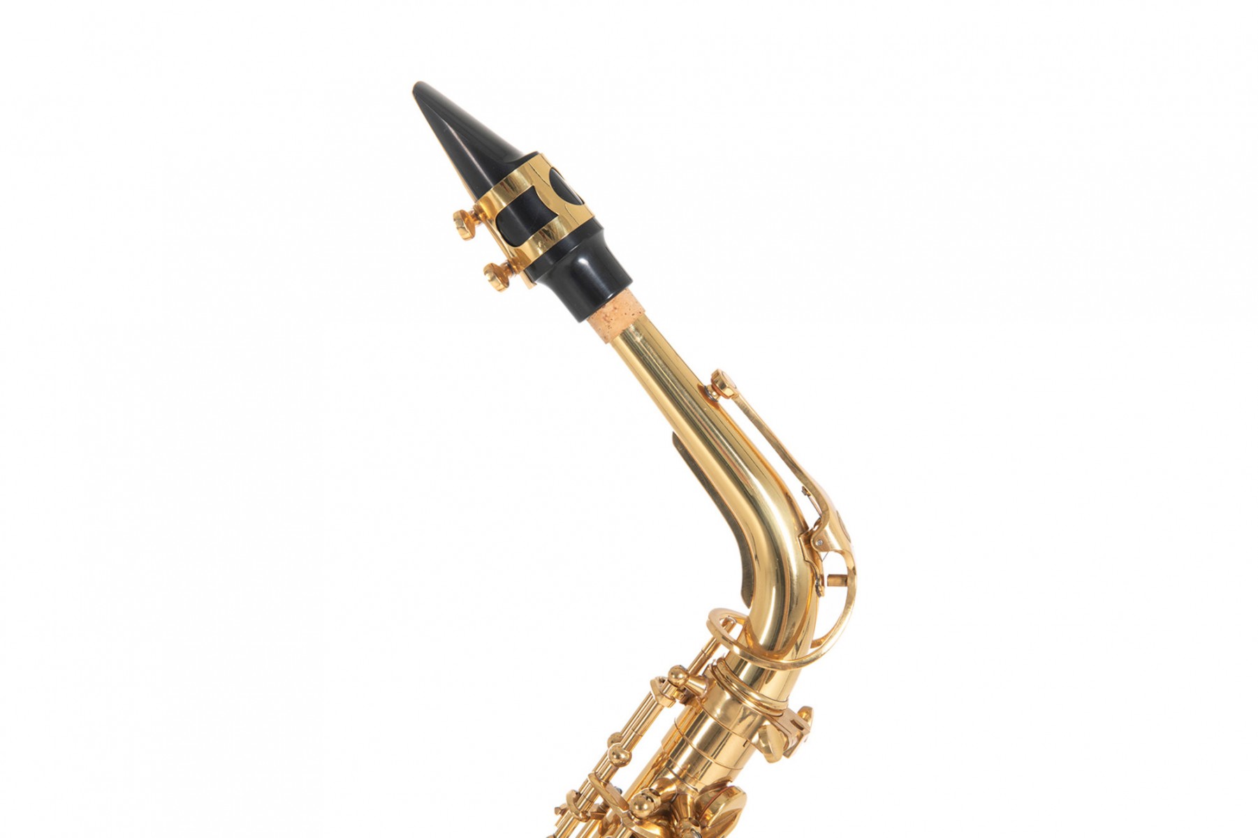 Roy Benson AS-202 Alto Saksafon küçük görsel 14