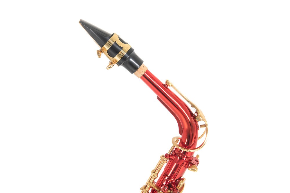 Roy Benson AS-202R Alto Saksafon küçük görsel 14