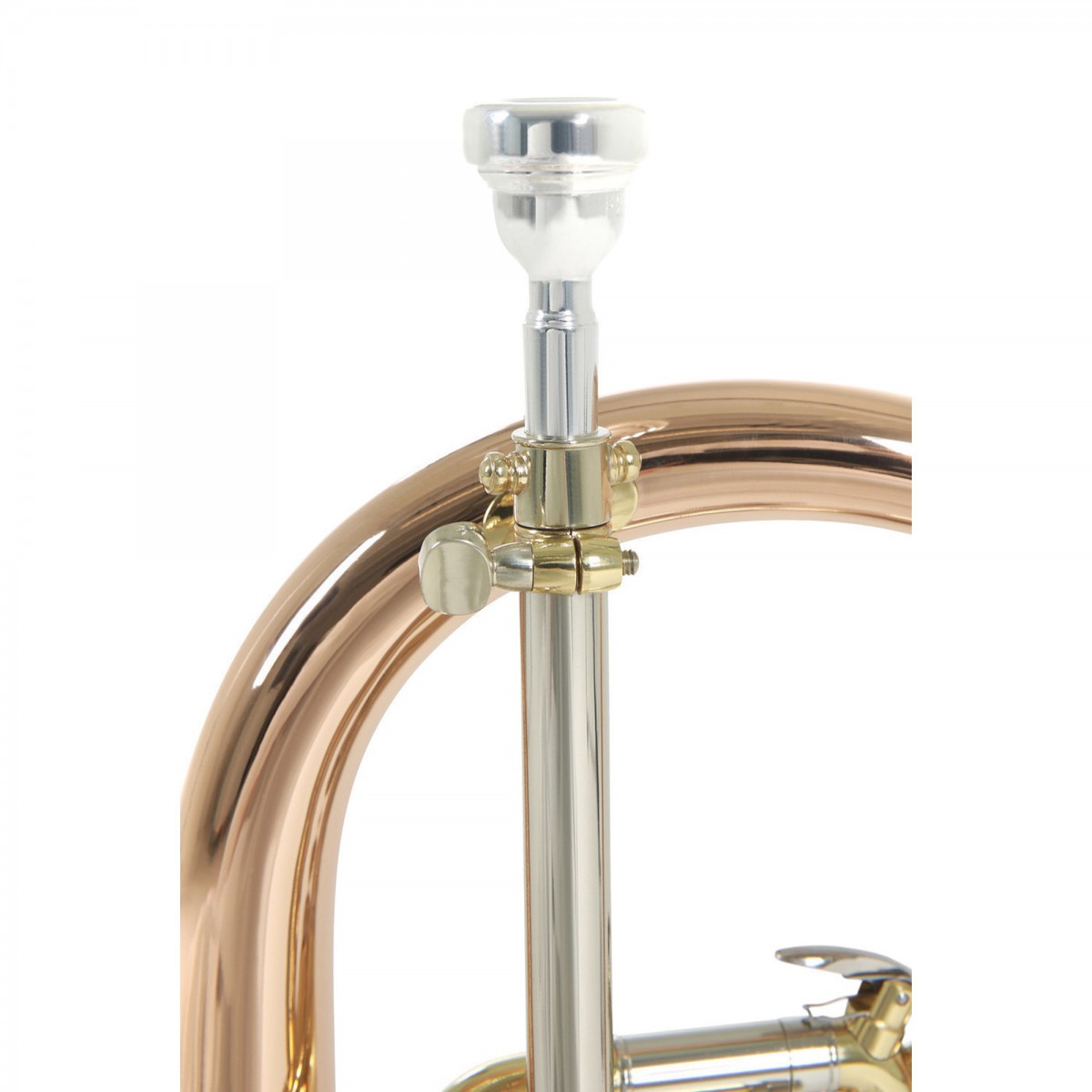Roy Benson FH-302G Flugelhorn küçük görsel 4