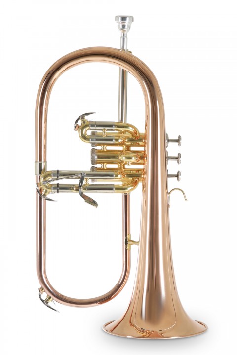 Roy Benson FH-302G Flugelhorn küçük görsel 7