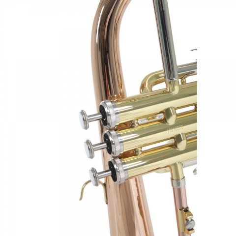 Roy Benson FH-302G Flugelhorn küçük görsel 8