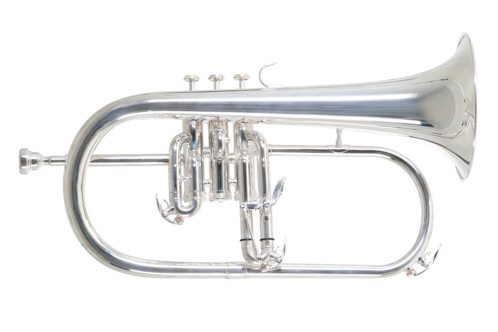 Roy Benson FH-302S Bb-Flugelhorn küçük görsel 3