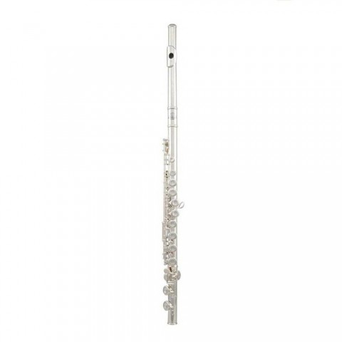 Roy Benson FL-402E Yan Flüt küçük görsel 2