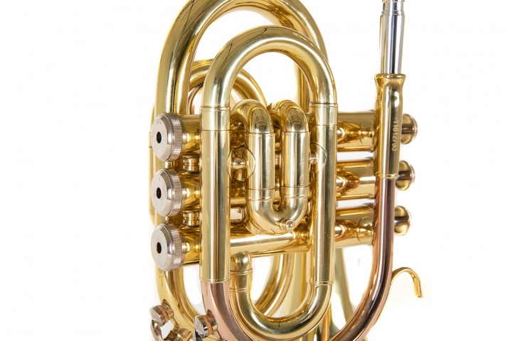 Roy Benson PT-101 Pocket Trompet küçük görsel 9