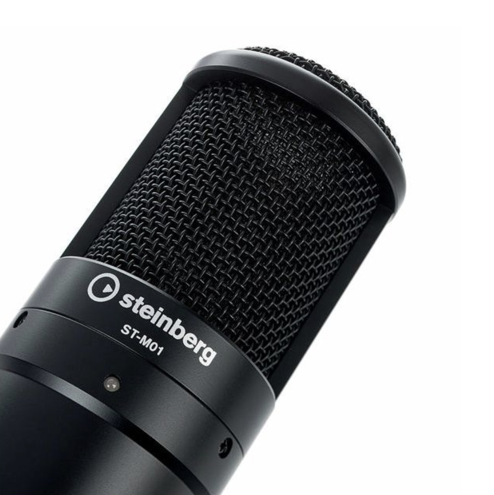 Steinberg UR22C Kayıt Paketi küçük görsel 5