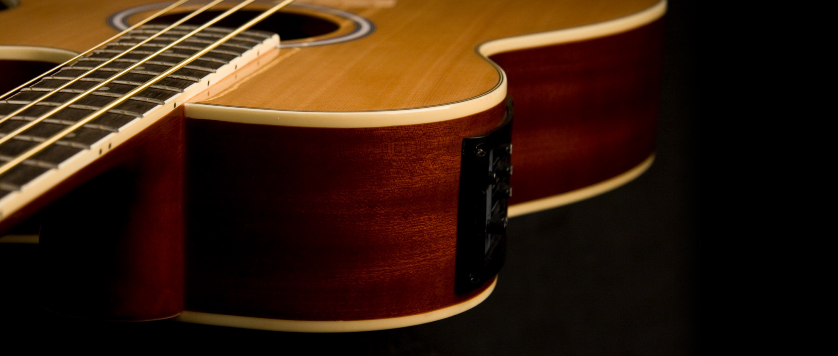 Washburn AB5K Elektro-Akustik Bas Gitar küçük görsel 7