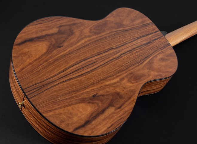 Washburn Bella Tono Elegante S24S Akustik Gitar küçük görsel 2