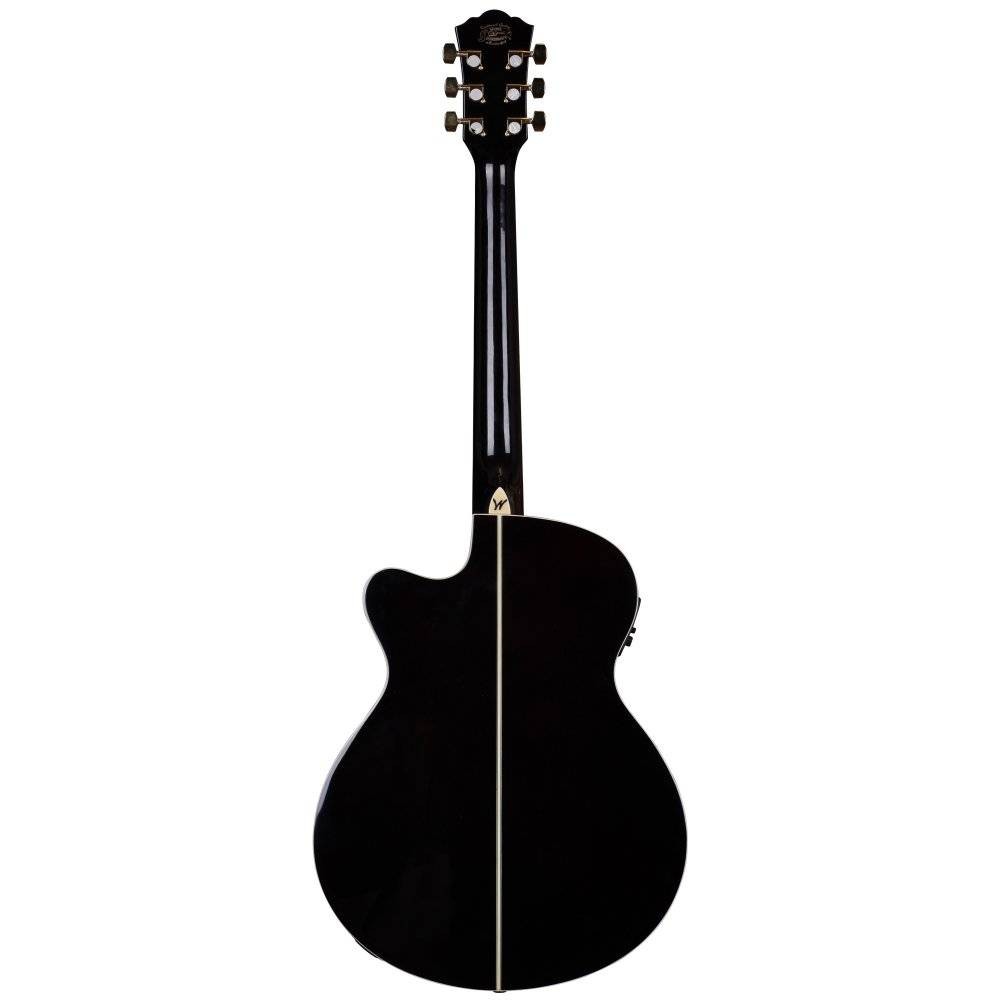 Washburn EA55G Festival Elektro Akustik Gitar küçük görsel 6