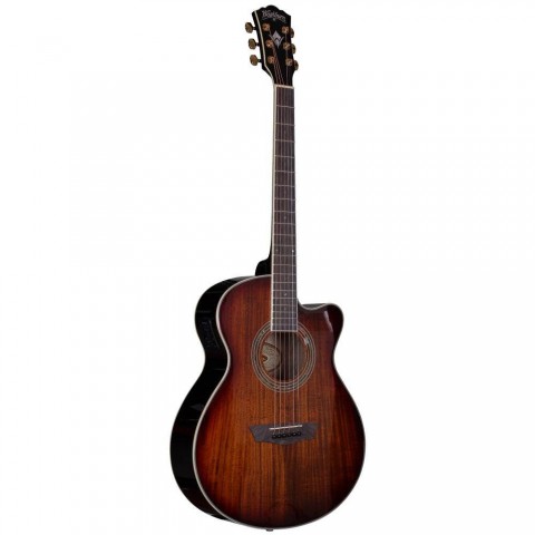 Washburn EA55G Festival Elektro Akustik Gitar küçük görsel 9
